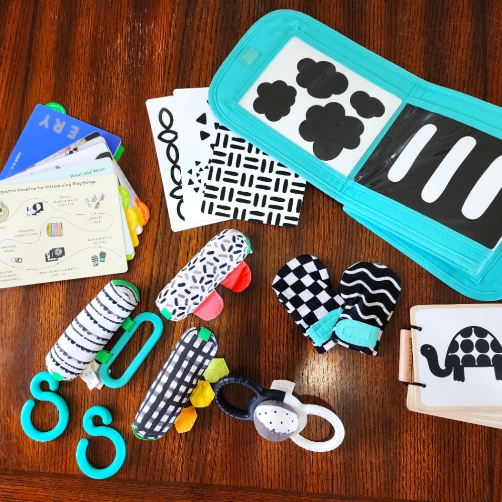 Lovevery 0-3 Month Playkit The Looker